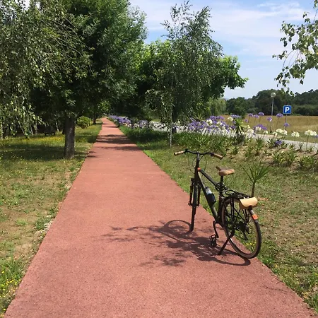 Quinta Da Boavista - Moradia E Дом отдыха Каминья